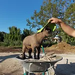Κατάλυμα σε φάρμα Le Tagliate *