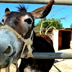 Agroturismo Le Tagliate *