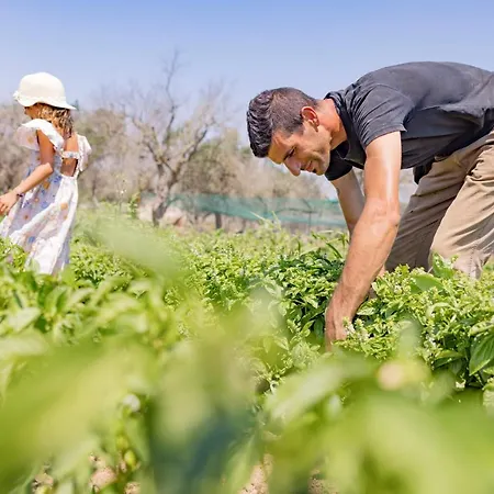 Le Tagliate Agroturismo Uggiano La Chiesa