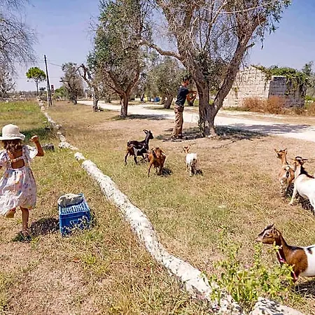 Le Tagliate Séjour à la ferme