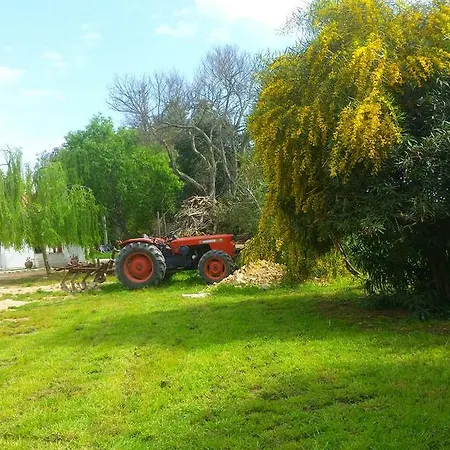 Le Tagliate Uggiano La Chiesa
