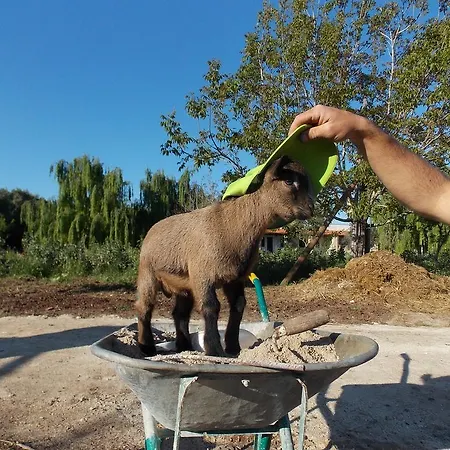 Alloggio per agriturismo Le Tagliate *