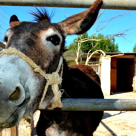 ファームステイ Le Tagliate *