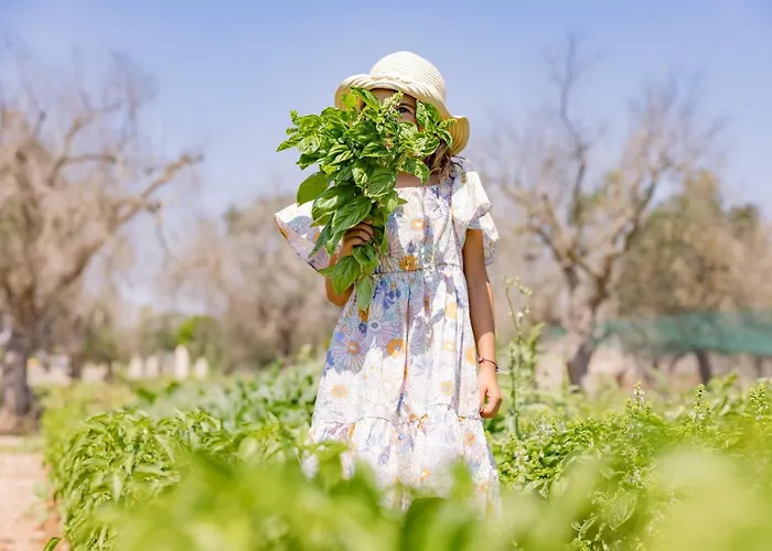 Alloggio per agriturismo Le Tagliate *