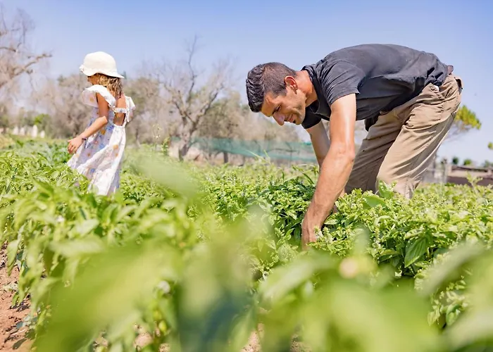 Le Tagliate Alloggio per agriturismo Uggiano La Chiesa