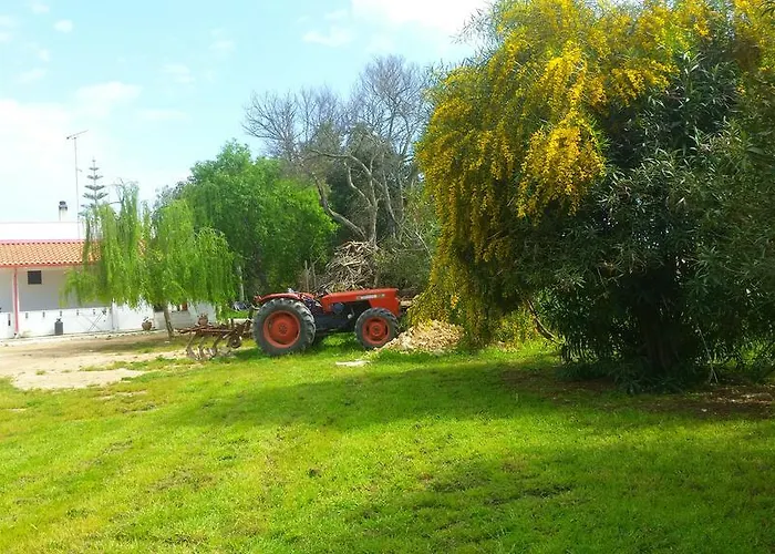 Le Tagliate Уджано-ла-Кьеза