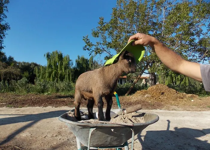 Alloggio per agriturismo Le Tagliate *