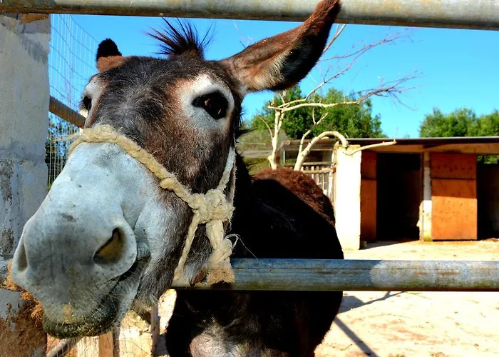 Фермерский дом Le Tagliate *